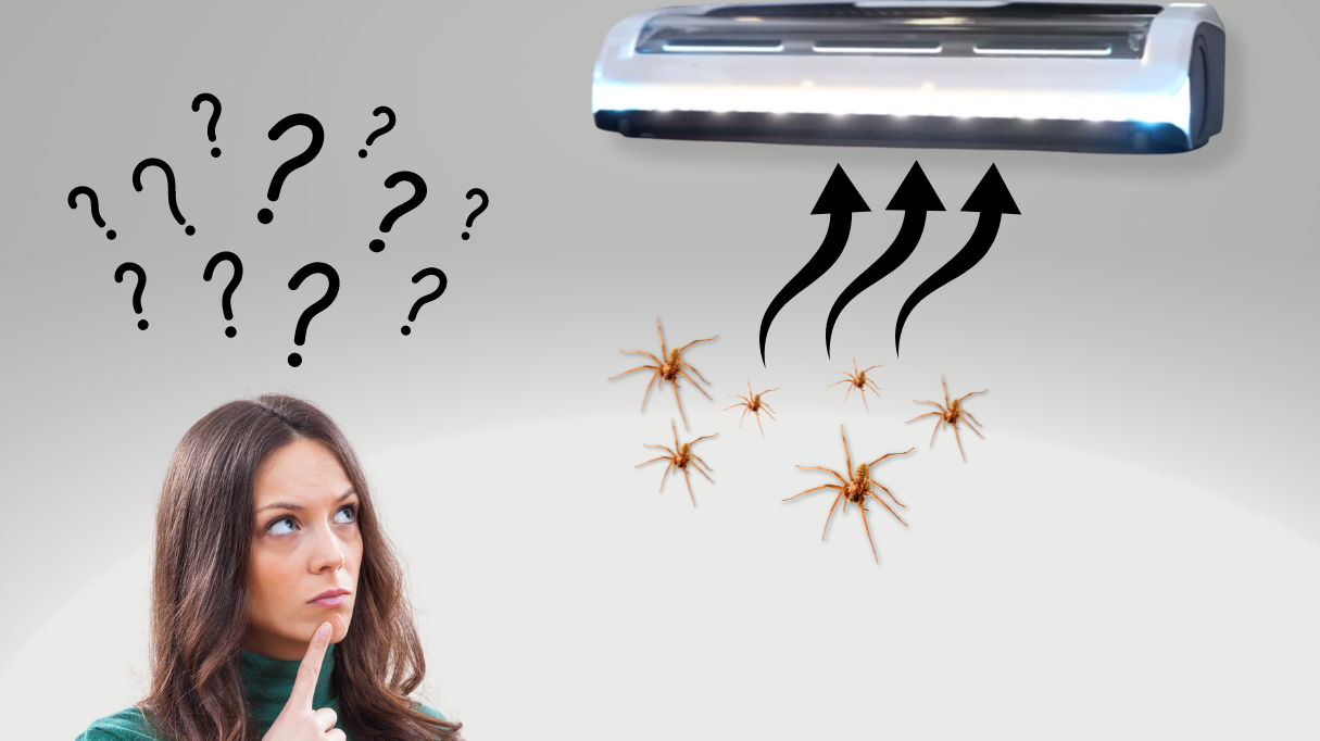 Do Vacuums Kill Spiders? Debunking the Myth and Unveiling the Truth