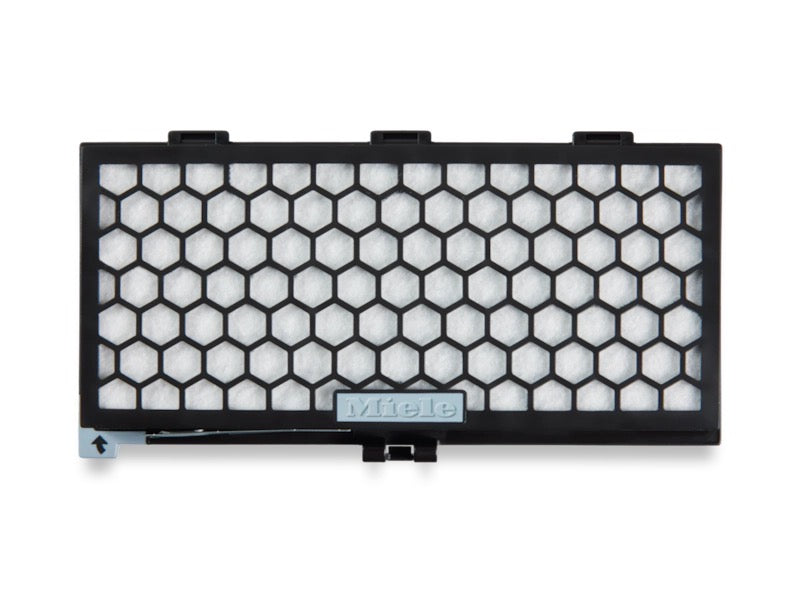 Miele vacuum filter sf-aa30 for smokers and dog smell