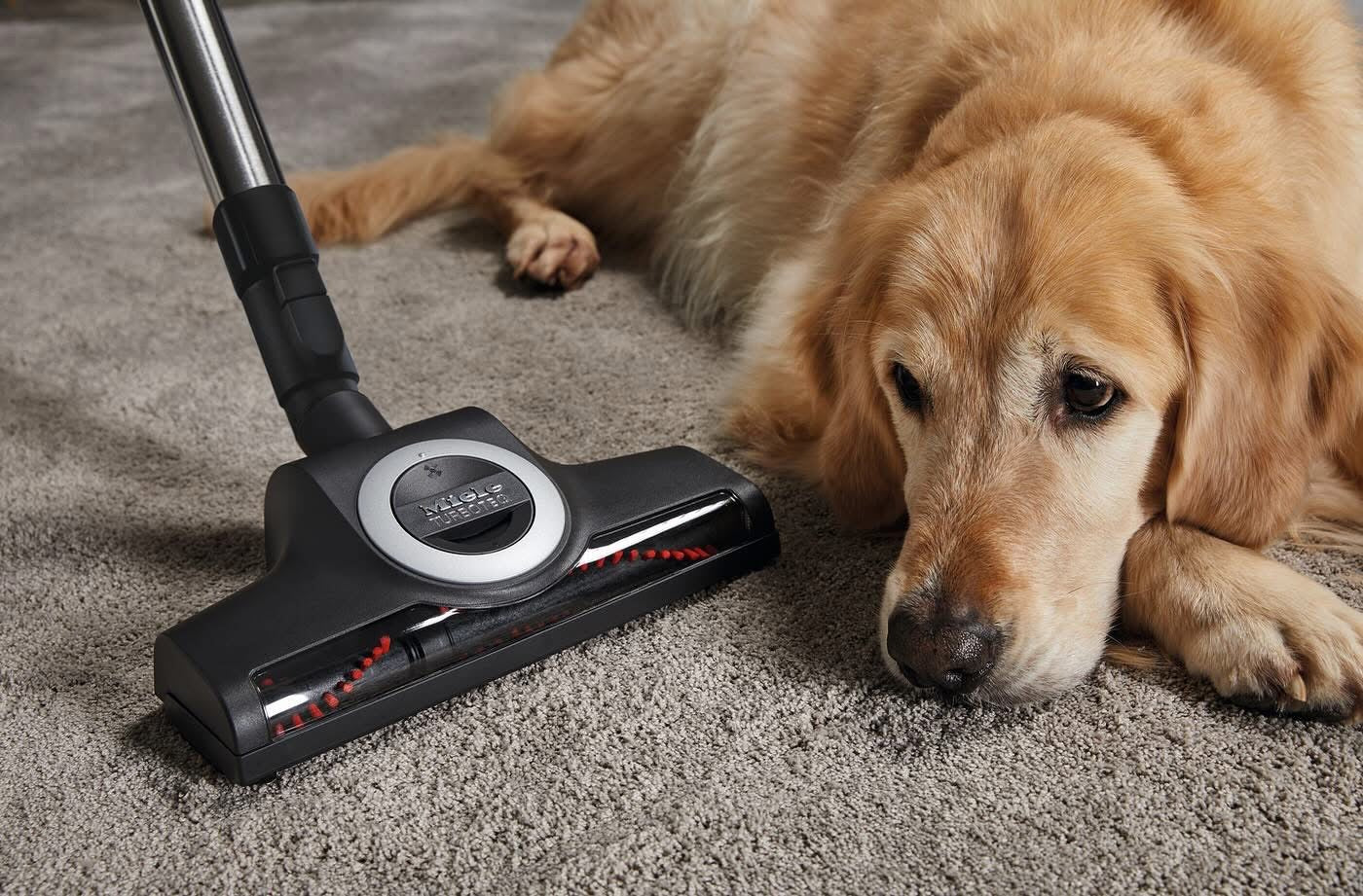 Miele TurboTeQ Floorbrush STB 305 with dog