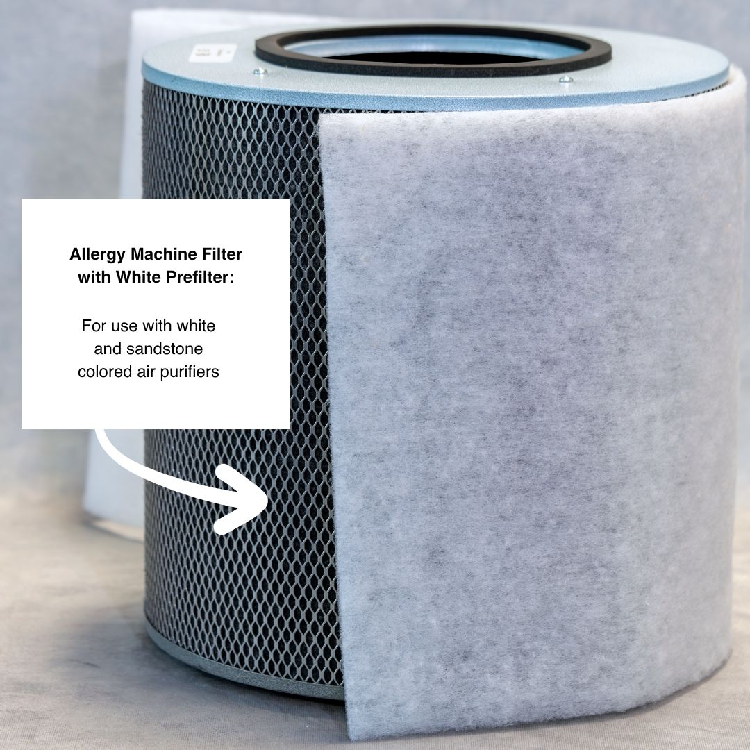 Austin Air Allergy Machine filter with the white prefilter