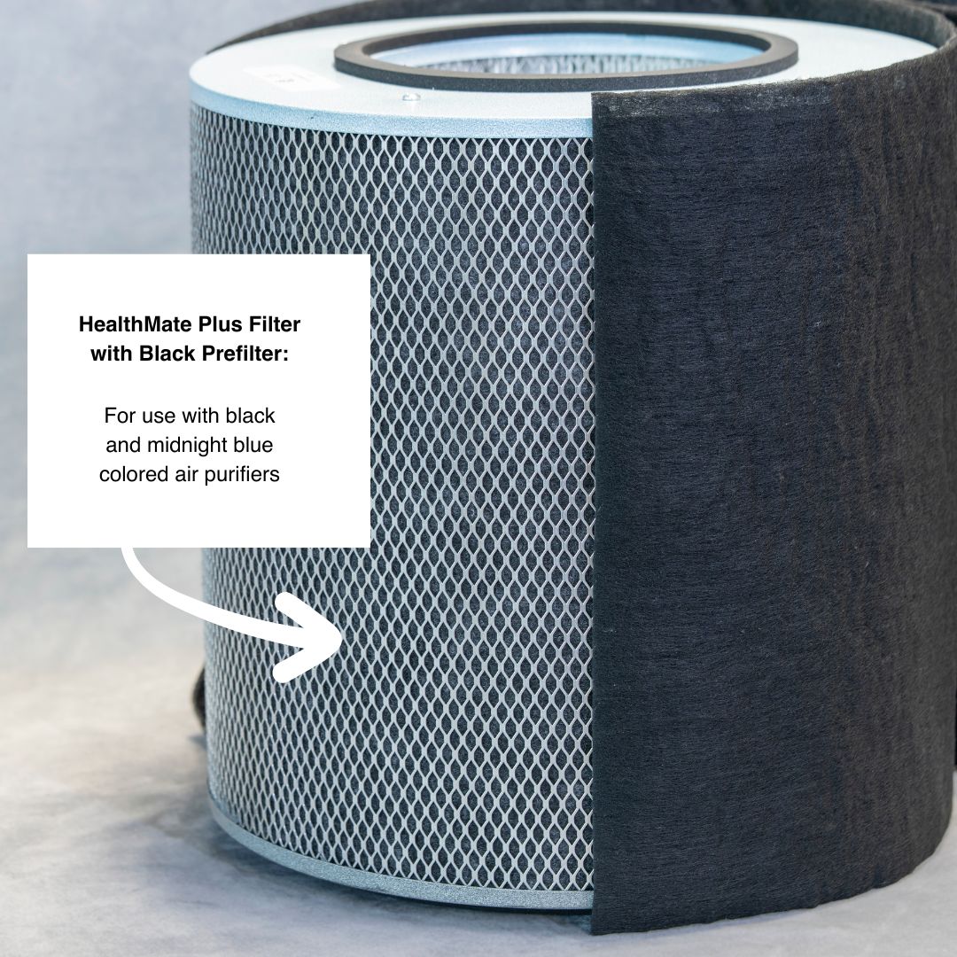 Austin Air HealthMate Plus filter with the black prefilter