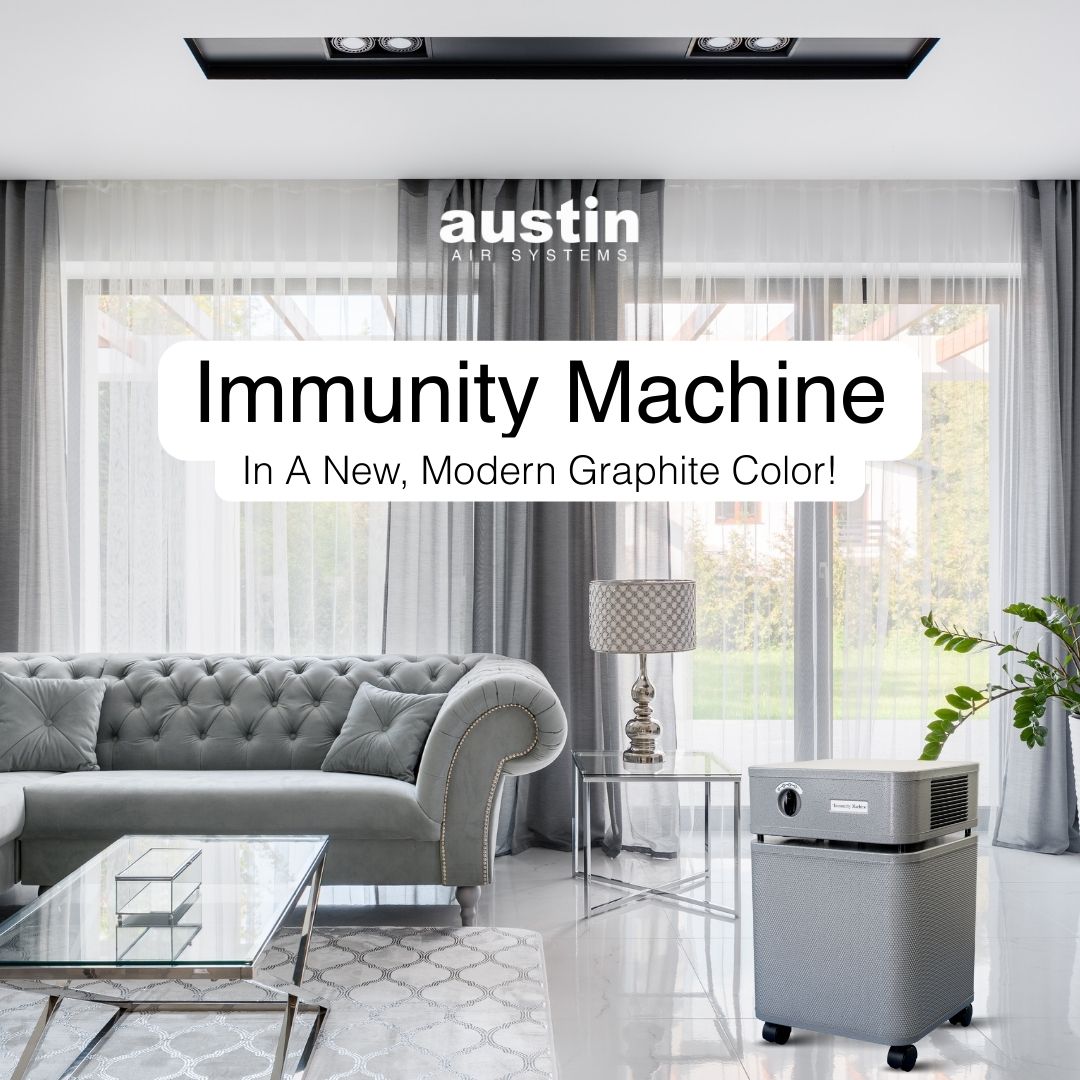 Graphite Austin Air Immunity Machine in a modern living room