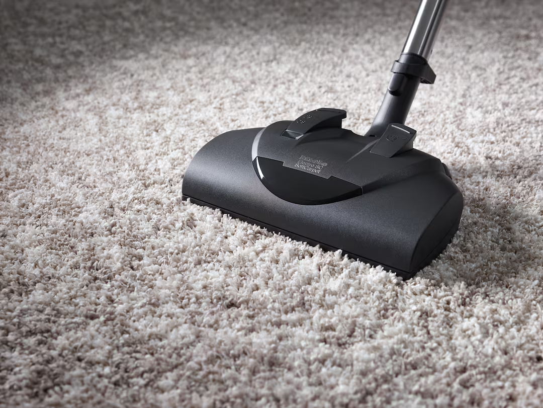 Miele SEB 228 Electro Plus floorbrush on plush carpet.