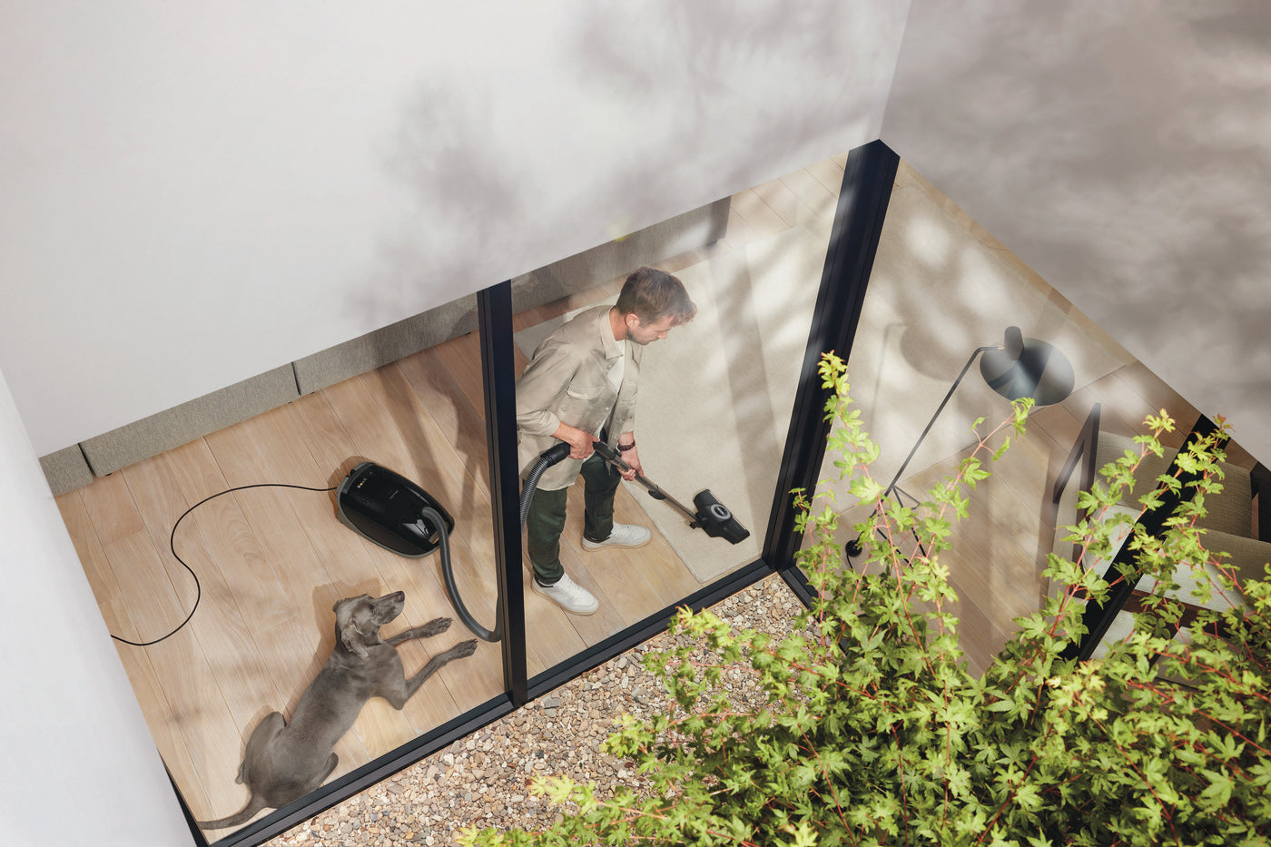 Person walking a cat on a leash near the black Miele Guard M1 Cat & Dog canister vacuum on an outdoor patio.